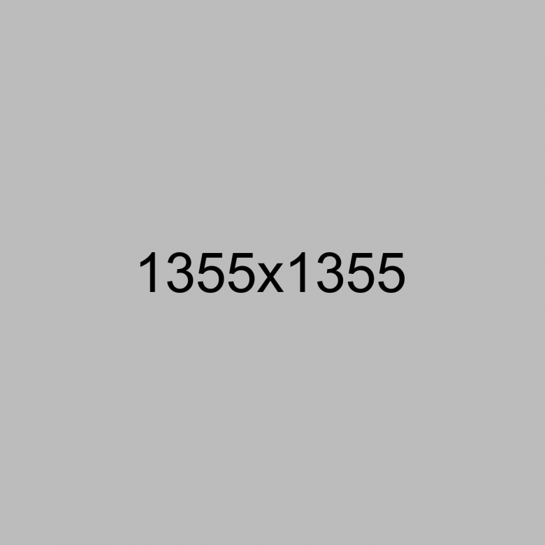 project31